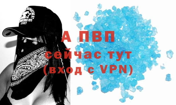 прущие грибы Вязники